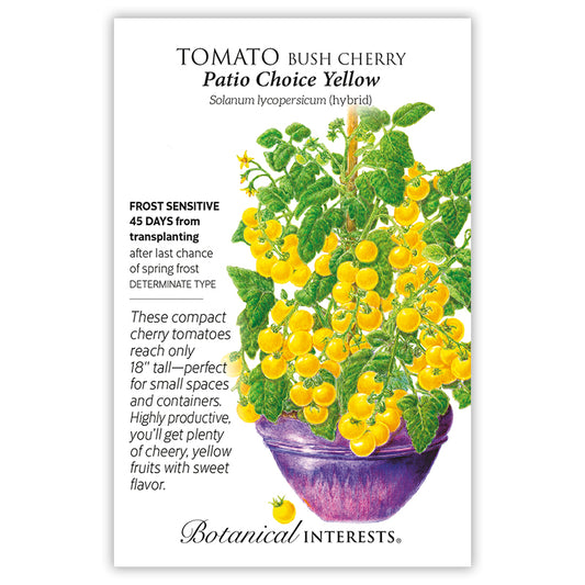 Tomato Cherry Patio Yellow Hybrid