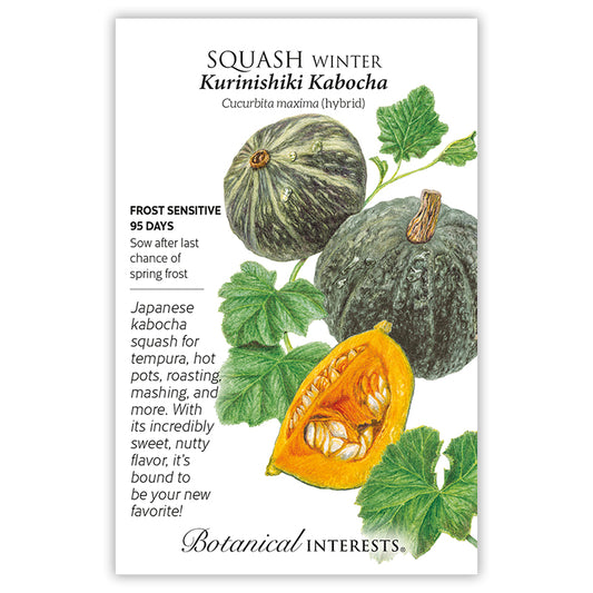Squash Winter Kabocha Hybrid