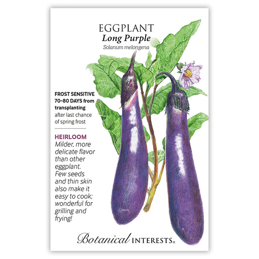 Eggplant Long Purple
