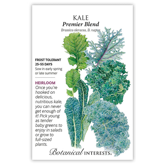 Kale Premier Blend