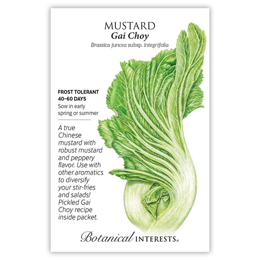 Mustard Chinese Gai Choy