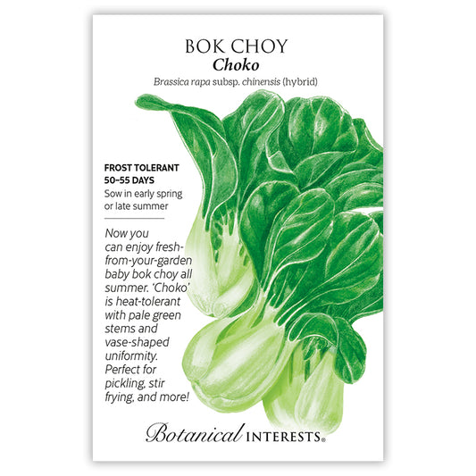 Bok Choy Choko Hybrid