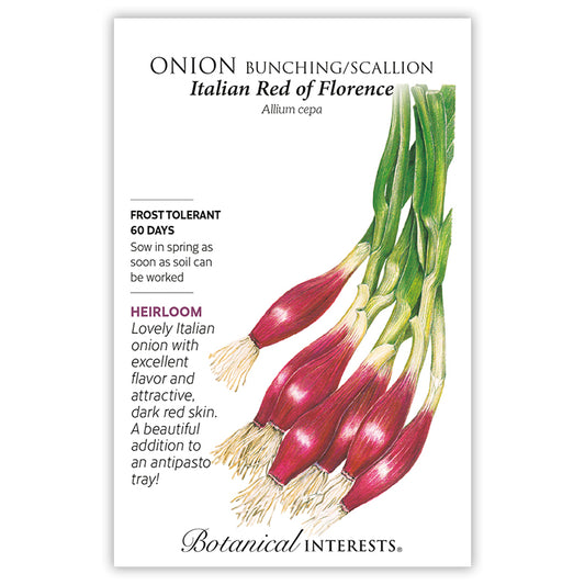 Onion Bunching Red Italian