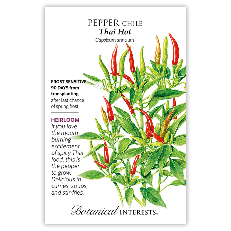 Pepper Chile Thai Hot