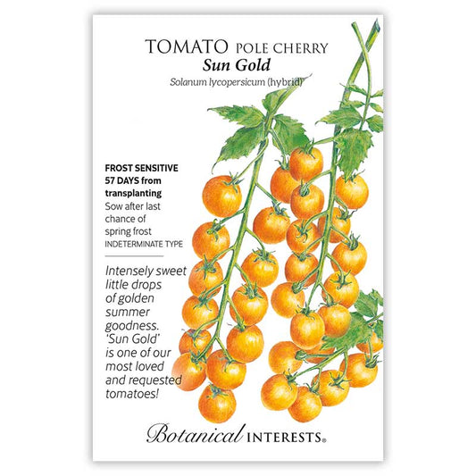 Tomato Cherry Sun Gold Hybrid