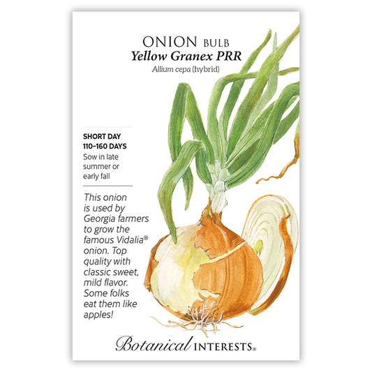 Onion Bulb Yellow Granex Hybrid SD