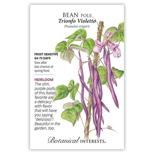 Bean Pole Trionfo Violetto