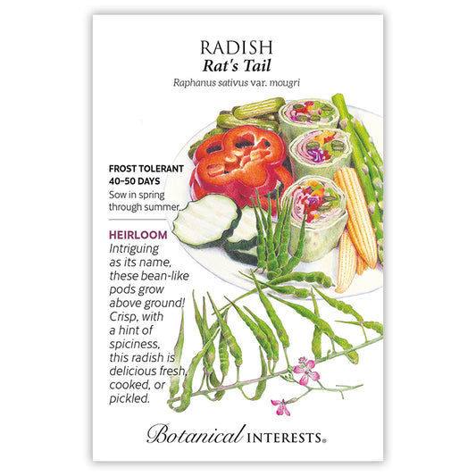 Radish Rat's Tail