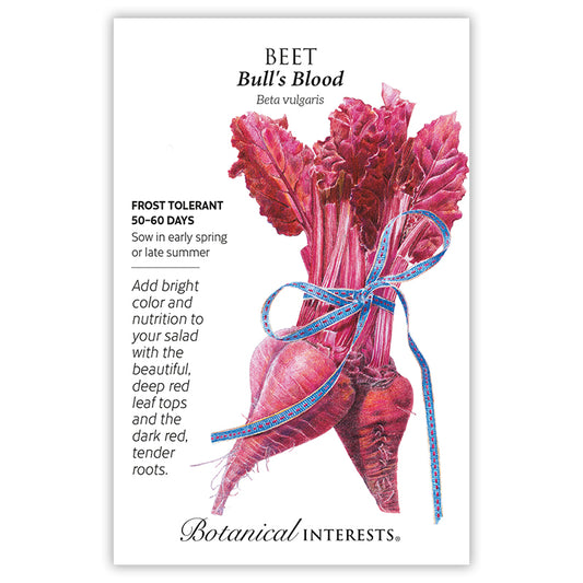 Beet Red Bulls Blood