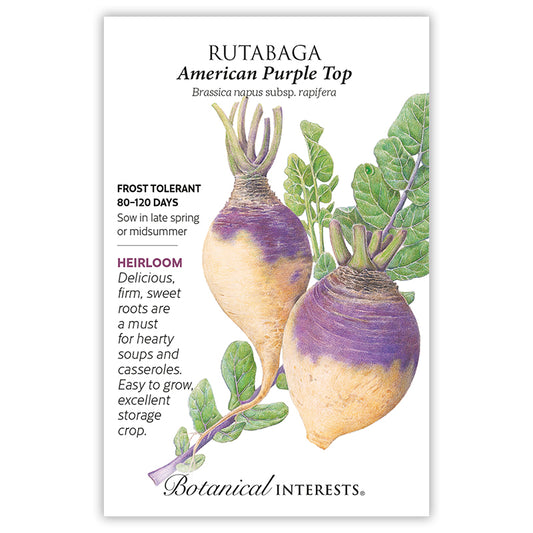 Rutabaga American Purple Top