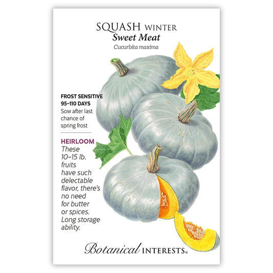 Squash Winter Sweet Meat