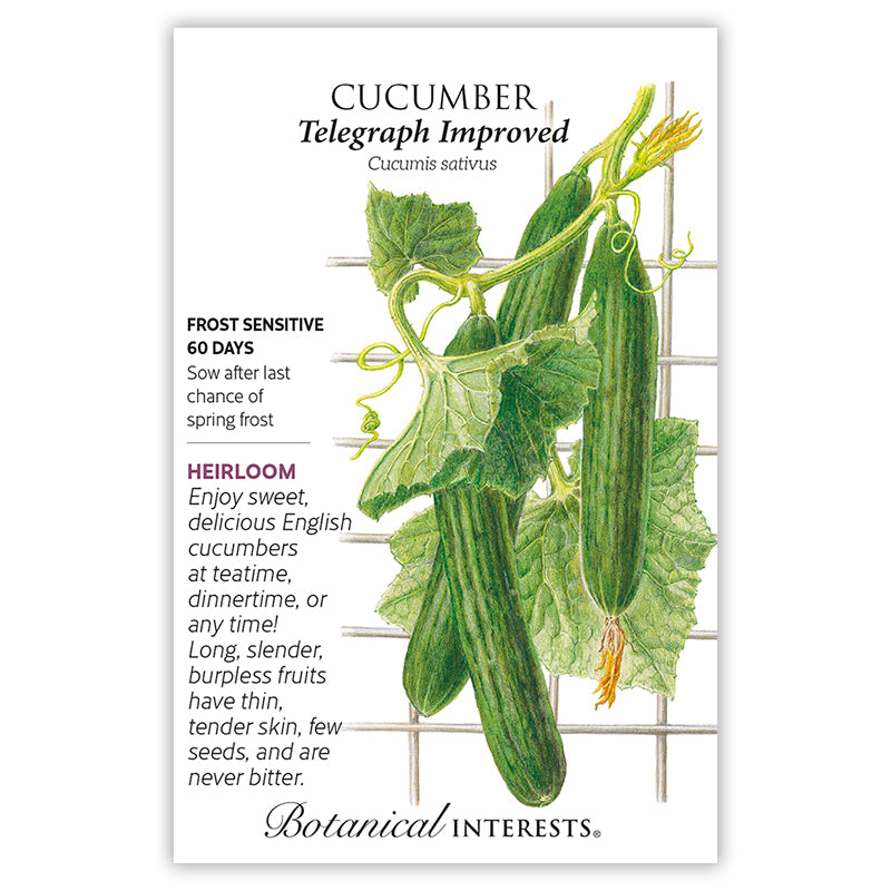 Cucumber Telegraph Improved