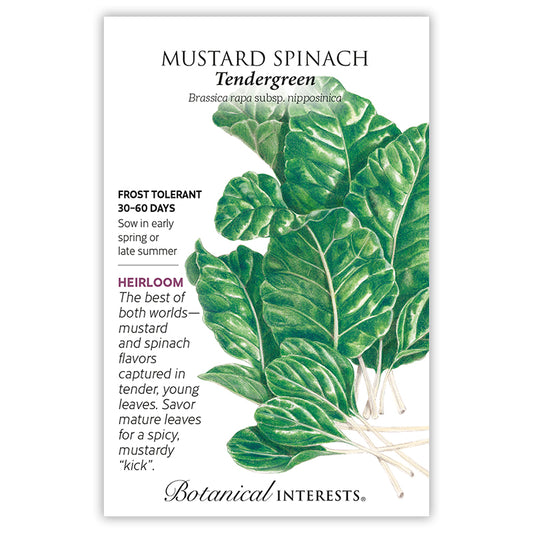 Mustard  Spinach Tendergreen
