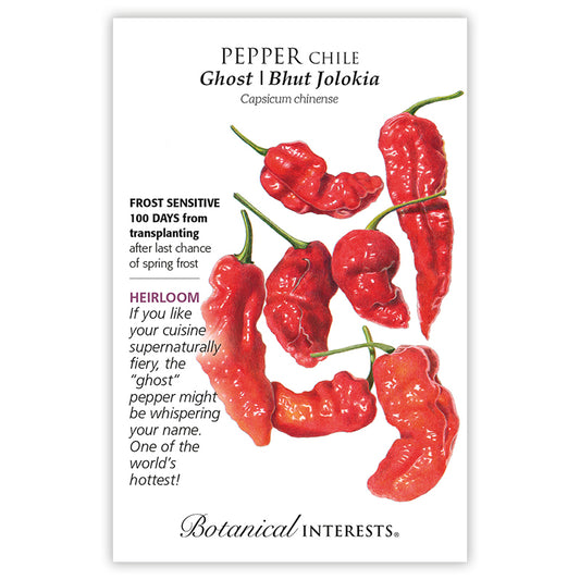 Pepper Chile Bhut Jolokia