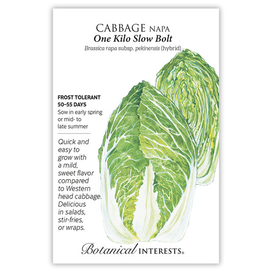Cabbage Chinese Napa One Kilo Hybrid