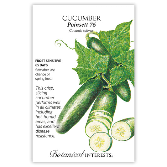 Cucumber Poinsett 76