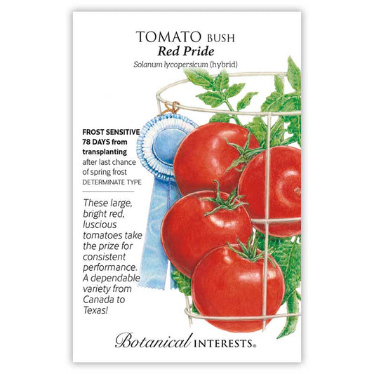 Tomato Red Pride hybrid