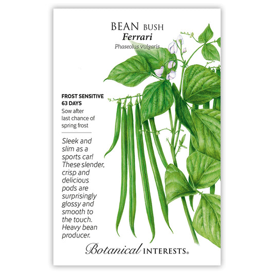Bean Bush Ferrari