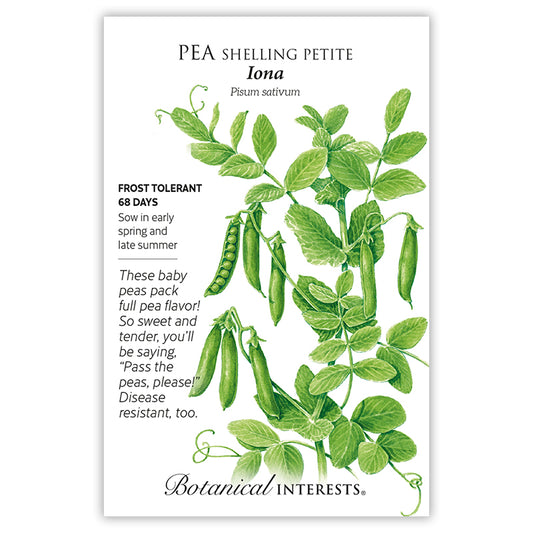 Pea Shelling Petite Iona