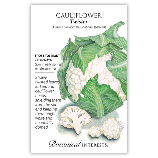 Cauliflower Twister Hybrid