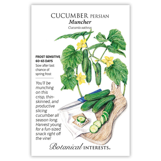 Cucumber  Muncher