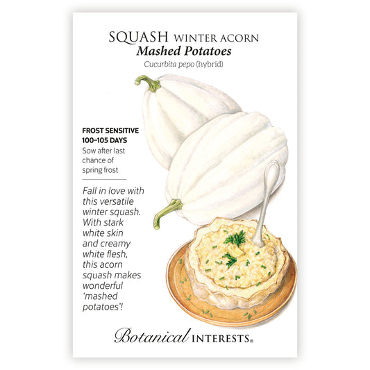 Squash Winter Mashed Potatoes Hybrid