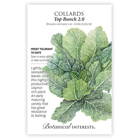 Collards Top Bunch hybrid