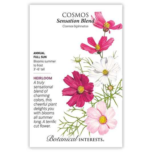 Cosmos Sensation Blend