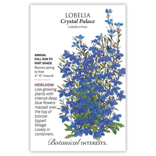 Lobelia Crystal Palace