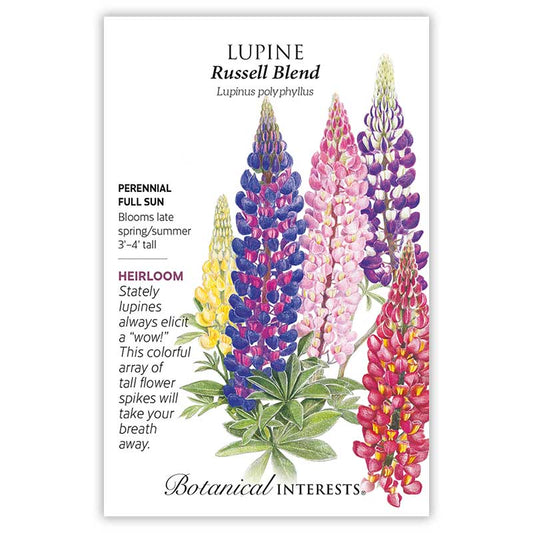 Lupine Russell Blend