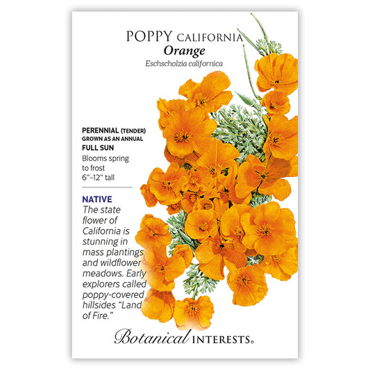 Poppy California Orange