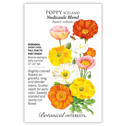 Poppy Iceland Nudicaule Blend
