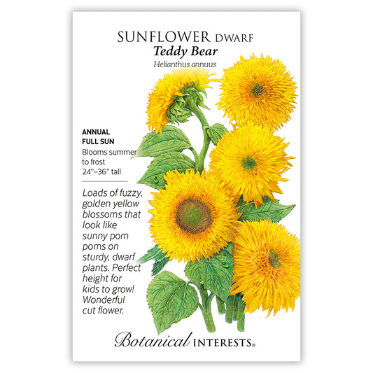 Sunflower Dwarf Teddy Bear