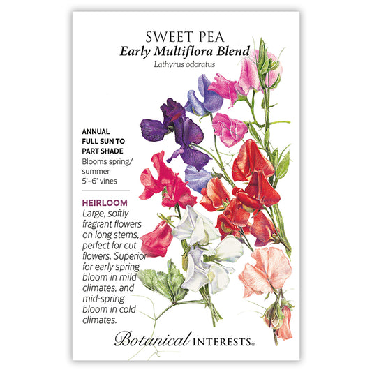 Sweet Pea Early Multiflora Blend