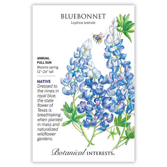 Bluebonnets