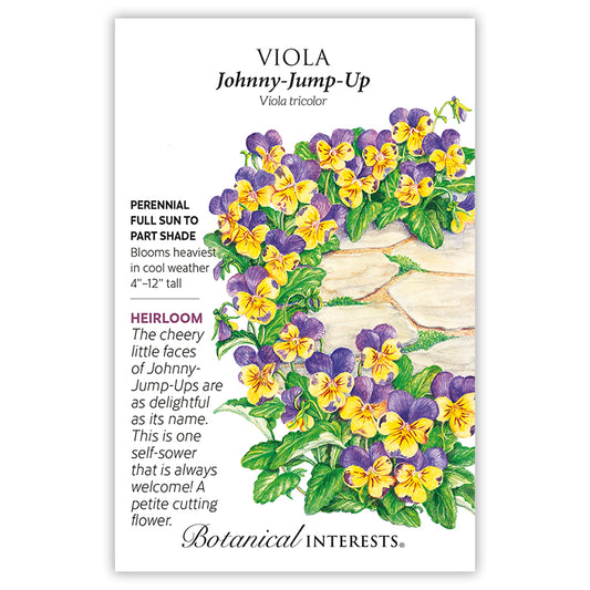 Viola Johnny Jump Up