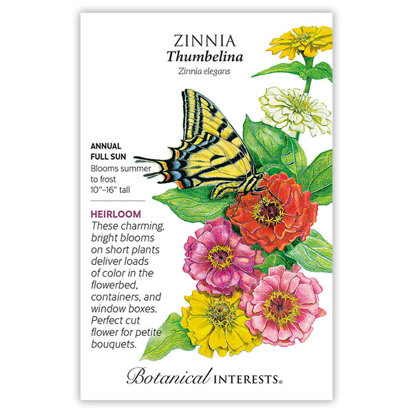 Zinnia Thumbelina Organic