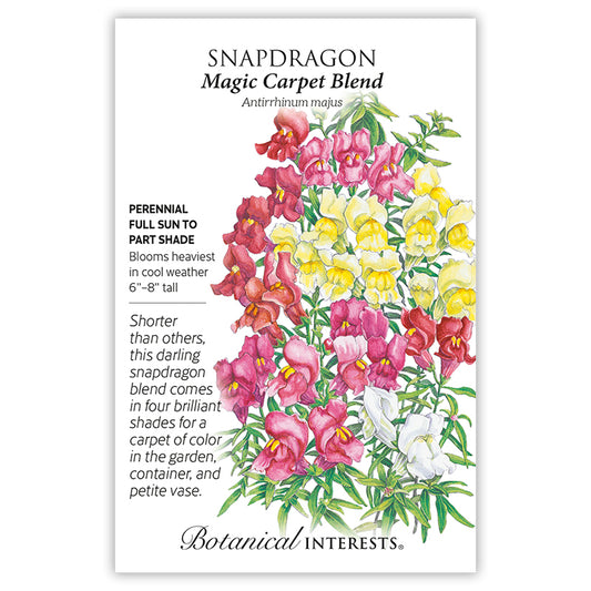 Snapdragon Magic Carpet Blend