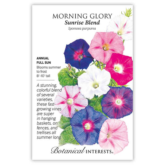 Morning Glory Sunrise Blend