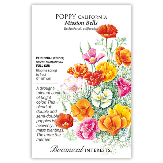 Poppy California Mission Bel