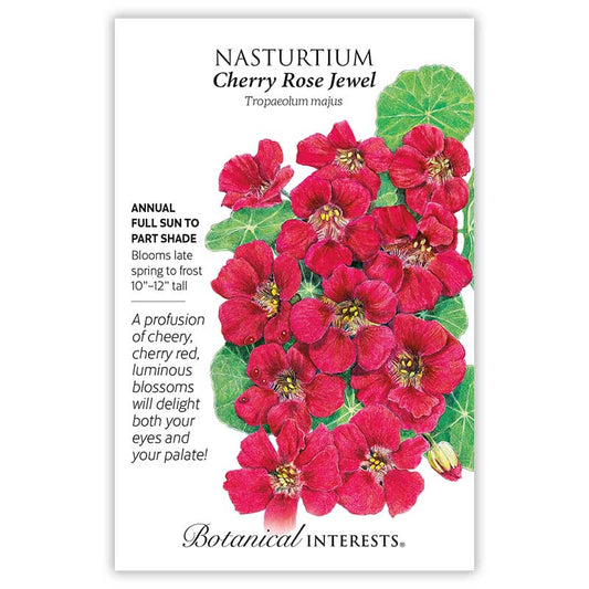 Nasturtium Cherry Rose Jewel
