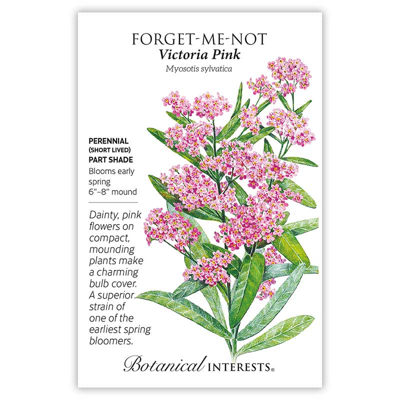 Forget Me Not Victoria Pink