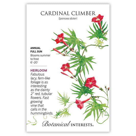 Cardinal climber