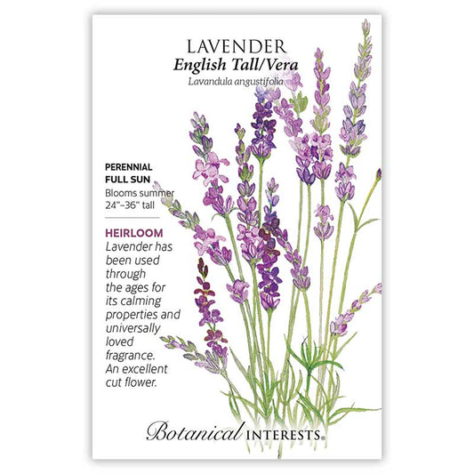 Lavender English Tall Vera