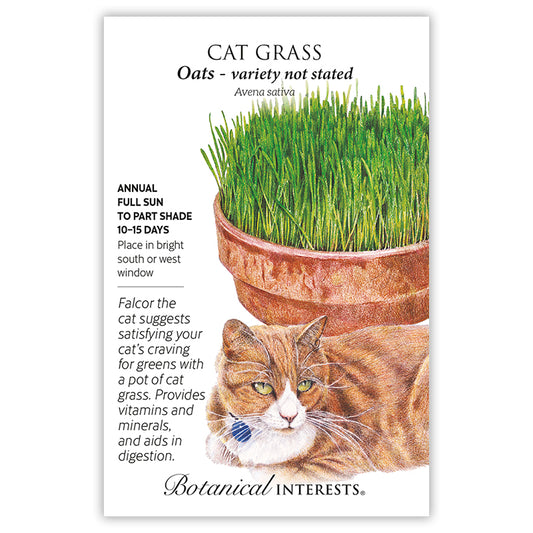 Cat Grass