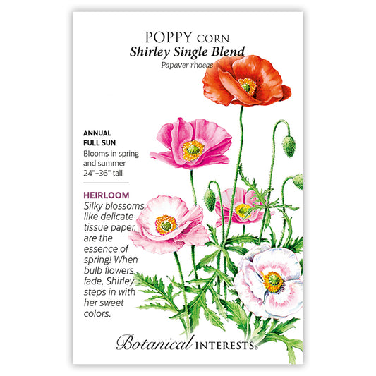 Poppy Corn Shirley Single Blend