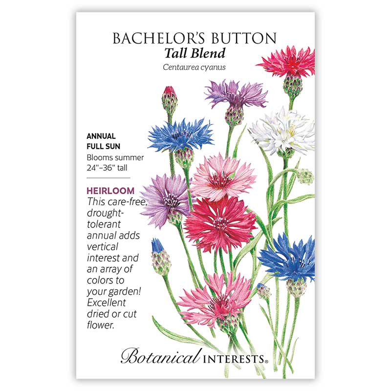 Bachelor Button Tall Blend