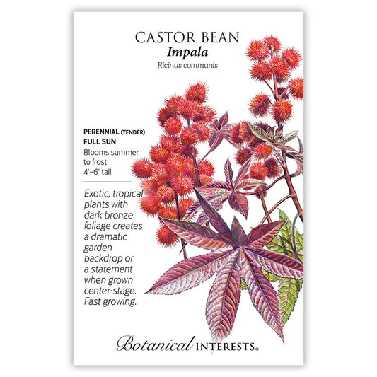 Castor Bean Impala