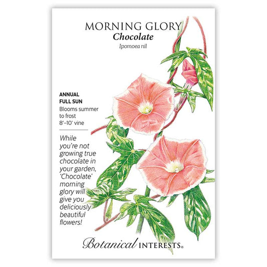 Morning Glory Chocolate