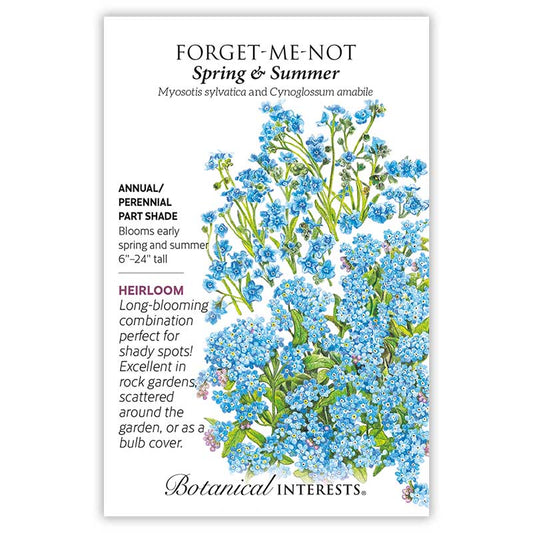 Forget-Me-Not Spring and Summer